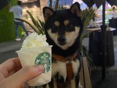 -星巴克(深圳领航里购物中心店)