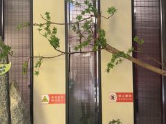 -小厨娘淮扬菜(江宁义乌江广创艺工场店)