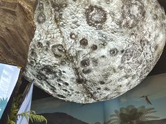 -辽宁古生物博物馆