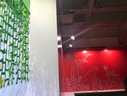 -恐龙探索乐园(磁器口店)