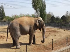 -石家庄市动物园