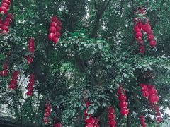 -荔湾湖公园