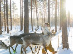 -北极村旅游风景区
