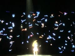 -郑州方特梦幻王国