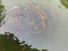 -天毓山庄·餐厅