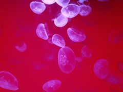 -沈阳海洋探索中心