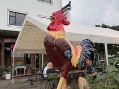 -头上红煨盐鸡乡村食府