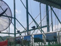 -石燕湖生态旅游景区