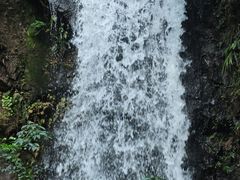 -马峦山郊野公园