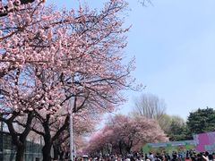 -吉林大学(南岭校区)