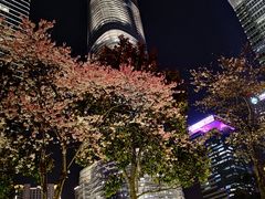 -上海环球金融中心云端足球盛典