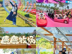 -盈香心动乐园