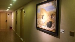 -海豚湾高端月子会所(黄浦店)