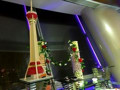 -339旋转餐厅(天府熊猫塔店)