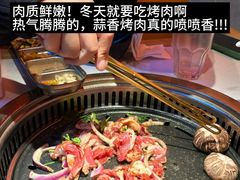 -杨记齐齐哈尔烤肉(总店)