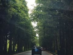 -山王坪喀斯特国家生态公园