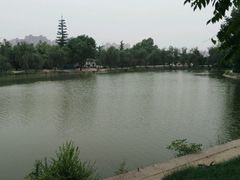 -渭滨公园