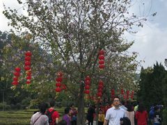 -南沙天后宫景区