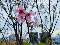 -小南山公园
