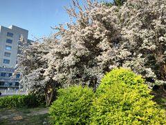 -元大都城垣遗址公园