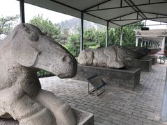 景点-茂陵博物馆