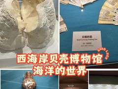 -青岛贝壳博物馆