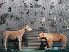 -中国湿地博物馆