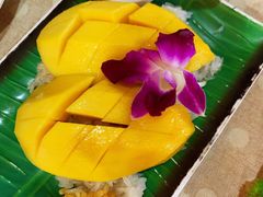 -Jungle Kitchen