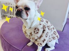 -怪兽屋·羊驼·猫咖·狗咖(俊华广场店)