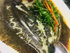 石斑鱼-明香海鲜酒家(华强北店)