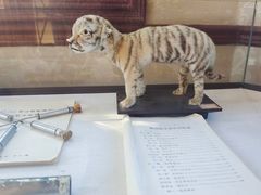 -北京动物园-畅观楼