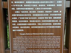 -洋湖国家湿地公园
