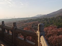 -灵谷景区