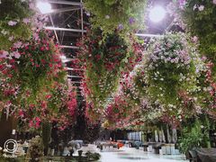 -常州花鸟园酒店(西太湖品牌优选店)