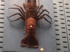 -浙江自然博物院(杭州馆)