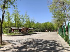 -东郊湿地公园