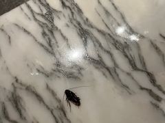 -上海外滩华尔道夫酒店