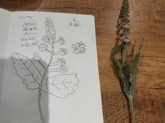 -ZING COFFEE 镜咖啡