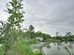 -昆山城市生态森林公园