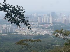 -紫金山山顶公园