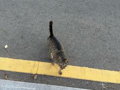 -南京金牛湖风景区