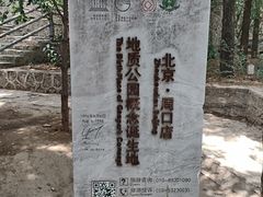 -周口店北京人遗址公园
