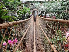 -正佳雨林生态植物园