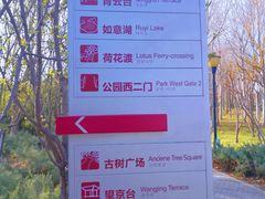 -大望京公园