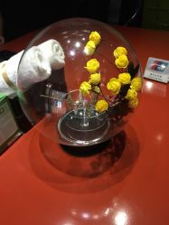 -奈瑞儿美颜塑身SPA