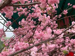 -汕尾铜鼎山旅游区