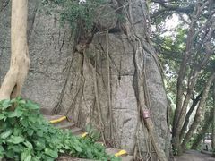 -三亚湾电动车租赁(三亚湾店)