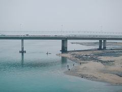 -海堤纪念公园