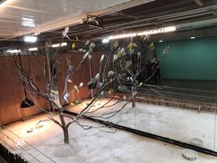-上海大自然野生昆虫馆(东方明珠·爬宠昆虫探索中心)