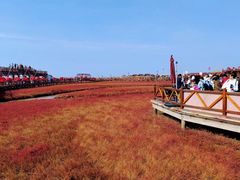 -红海滩国家风景廊道